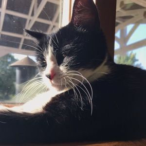 Meet your Posher, Emily